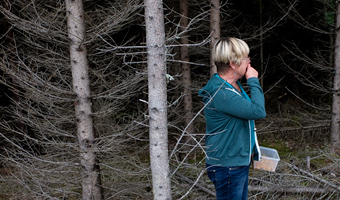 Susanne plockar svamp i skogen